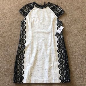 Kensie Dress Collection